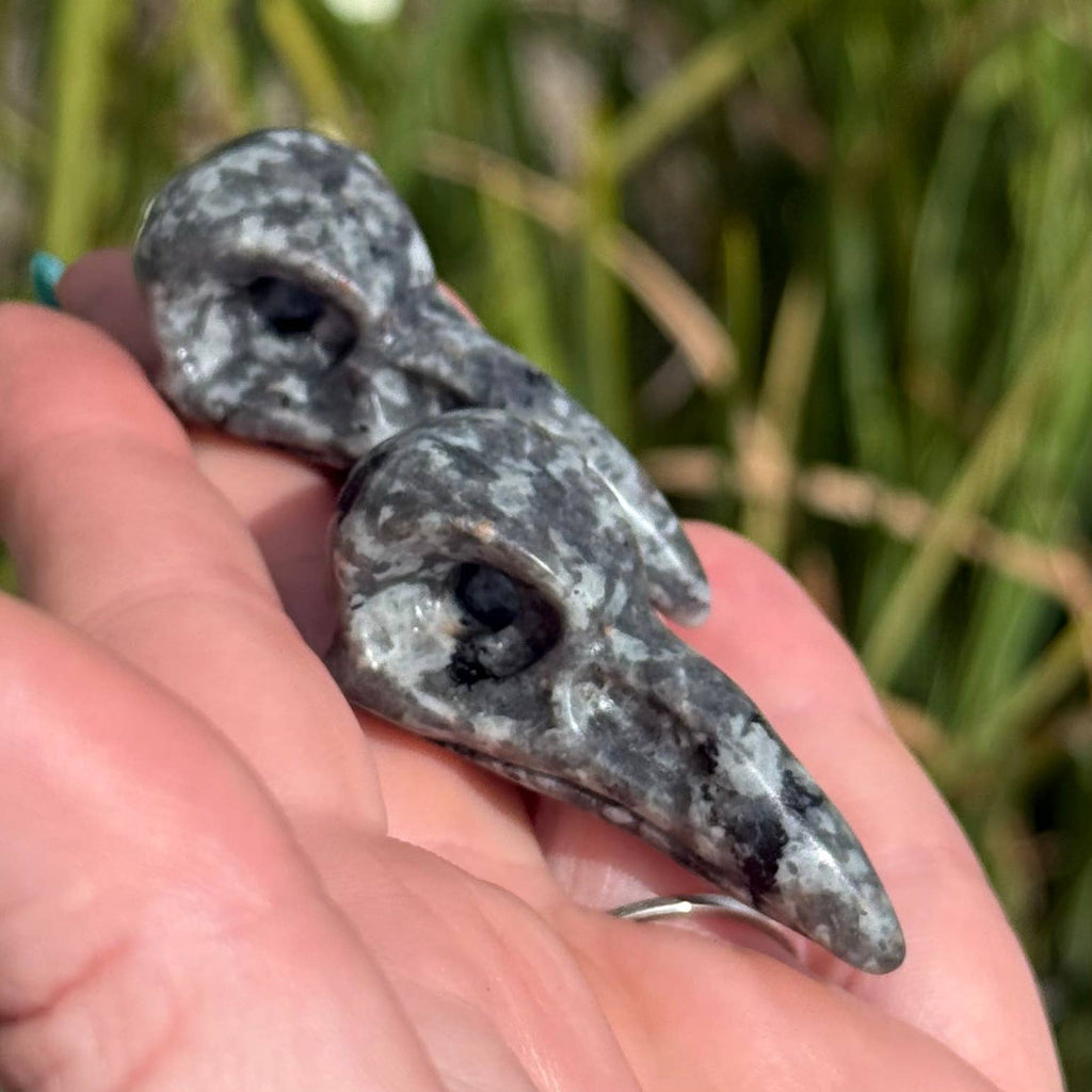 Yooperlite Raven Skull