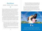Connecting with Our Pets in Heaven by Desha Utsick: Paper Over Board 128 pages / English