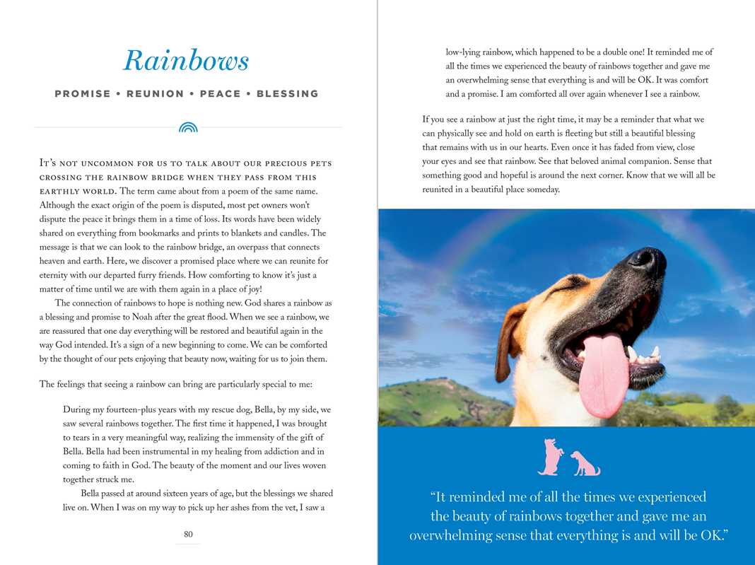 Connecting with Our Pets in Heaven by Desha Utsick: Paper Over Board 128 pages / English