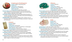 Crystal Basics Pocket Encyclopedia by Nicholas Pearson: Paperback 288 pages / English