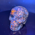 Yooperlite Skull