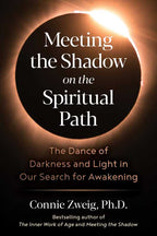 Meeting the Shadow on the Spiritual Path by Connie Zweig: Paperback 304 pages / English