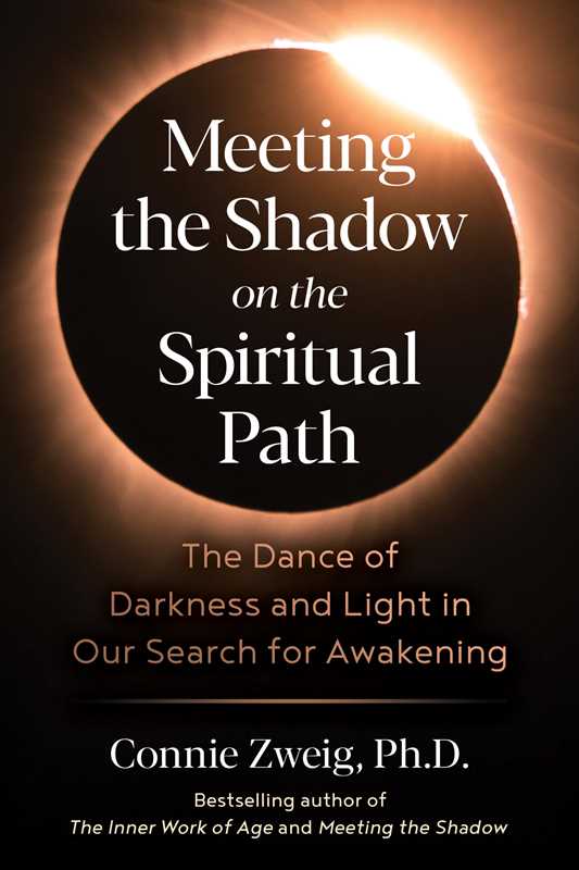 Meeting the Shadow on the Spiritual Path by Connie Zweig: Paperback 304 pages / English