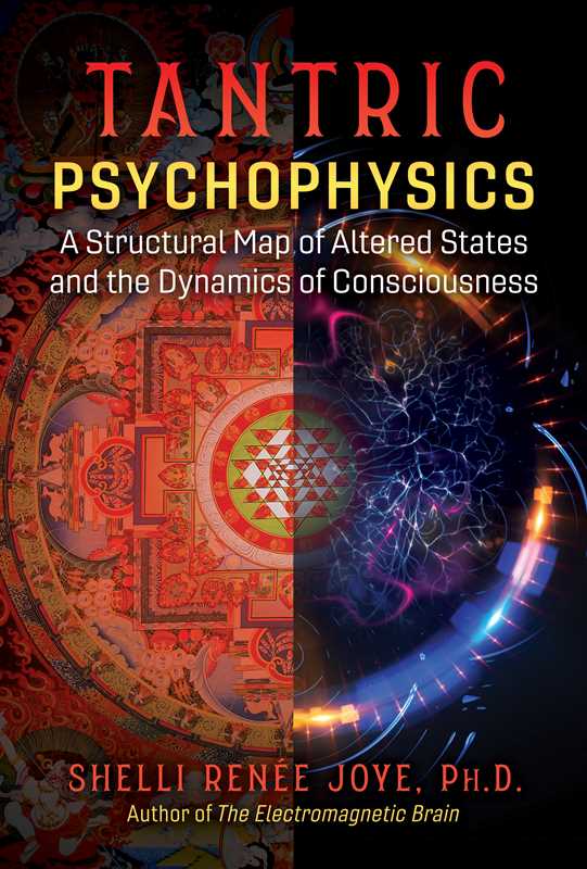 Tantric Psychophysics by Shelli Renée Joye: Paperback 352 pages / English