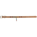 Vegan Leather Dog Collar - 7 Chakras - Medium (Each)