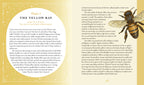 The Rainbow Witch: Secret Powers of Color