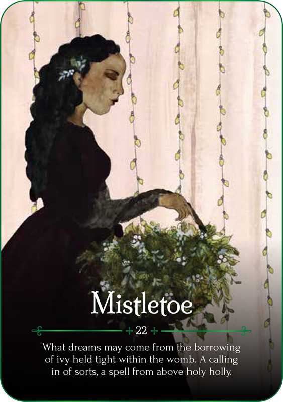 Seasons of the Witch: Yule Oracle by Lorriane Anderson: Flashcards 144 pages / English
