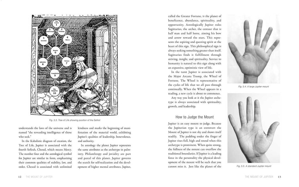 Art and Science of Hand Reading by Ellen Goldberg: Hardcover 544 pages / English