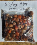 Carnelian Tumbled