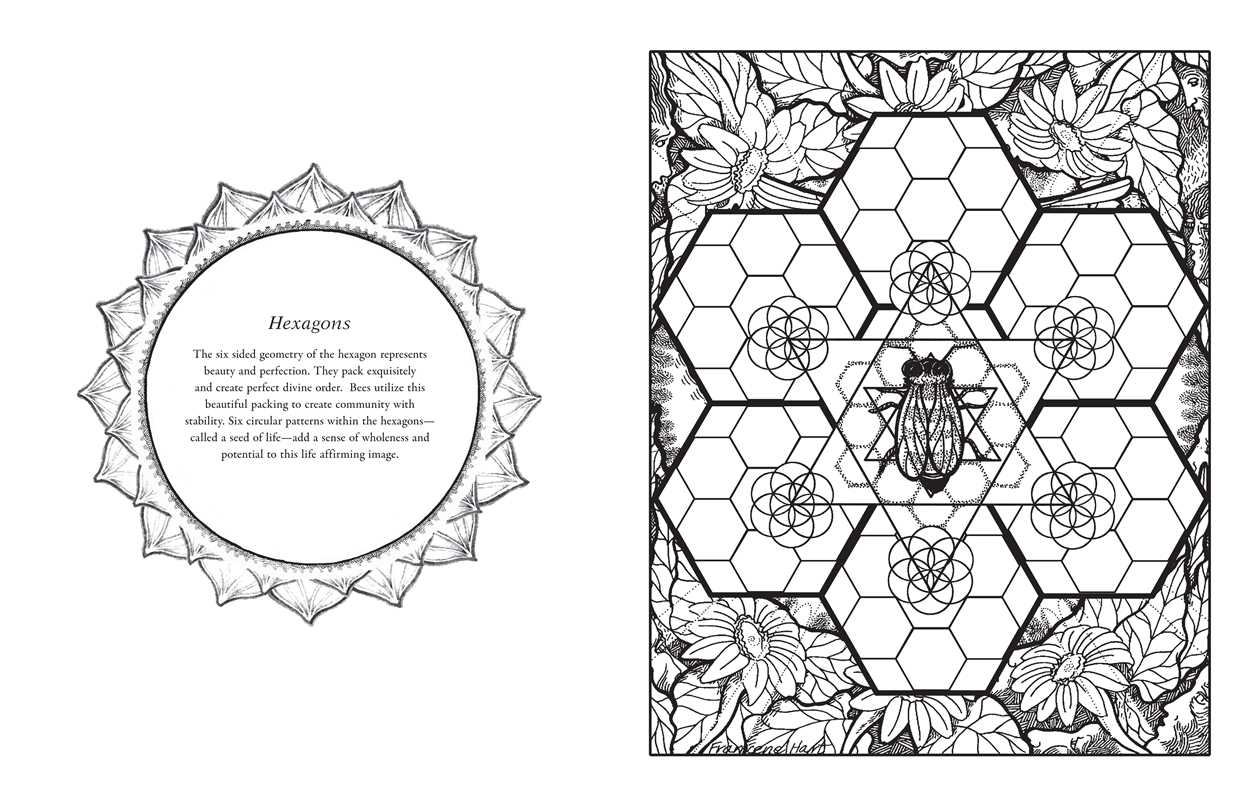 Sacred Geometry Coloring Book by Francene Hart: Paperback 96 pages / English