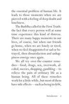 Mindfulness On The Go (Shambhala Pocket Classic)