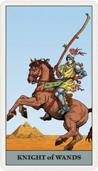 Tarot Vitae