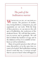 Pocket Pema Chodron_The