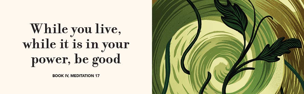 The Illustrated Meditations