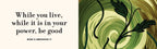 The Illustrated Meditations