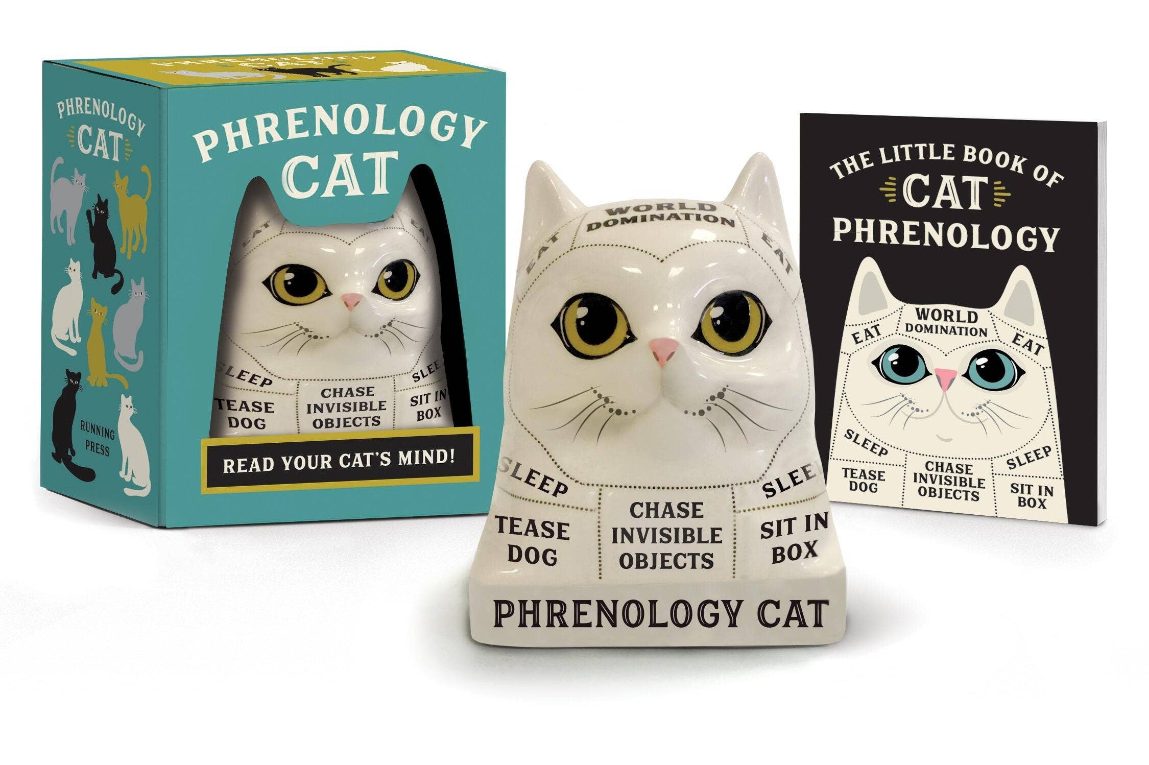 Phrenology Cat: Read Your Cat's Mind!