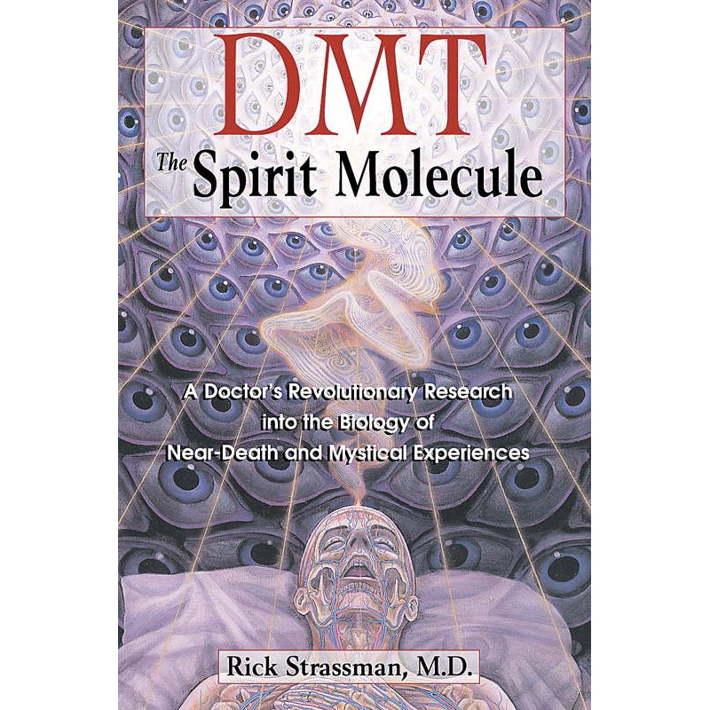 DMT: The Spirit Molecule by Rick Strassman: Paperback 384 pages / English
