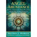 Angel Abundance by Belinda J. Womack: Paperback 272 pages / English