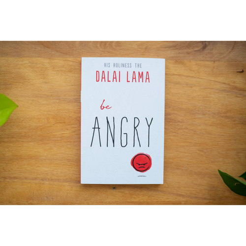 Be Angry  (Part of the Dalai Lama's Be Series)