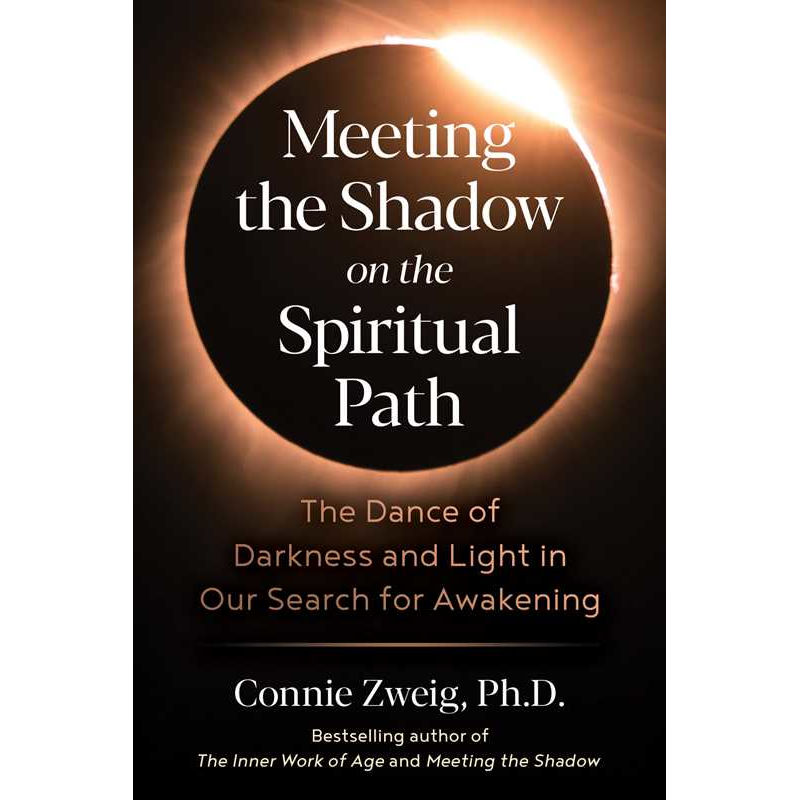 Meeting the Shadow on the Spiritual Path by Connie Zweig: Paperback 304 pages / English