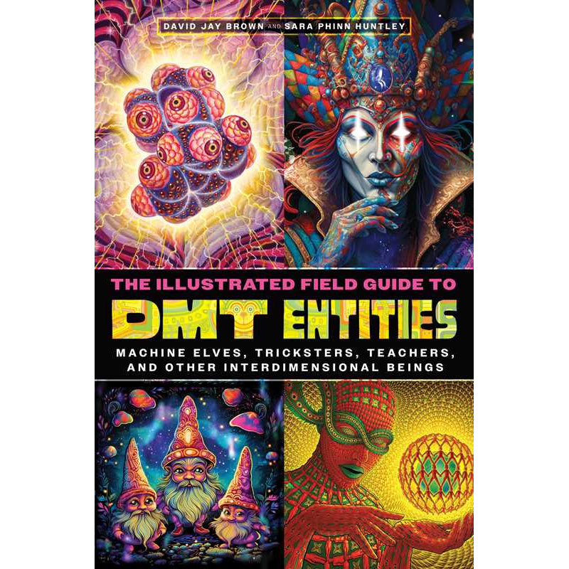 Illustrated Field Guide to DMT Entities