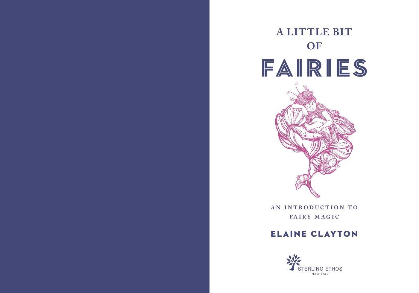 A Little Bit of Fairies by Elaine Clayton: Hardcover