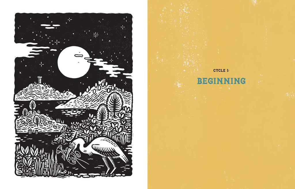 Dream Atlas by Fiona  Cook: Hardcover 208 pages / English
