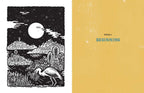 Dream Atlas by Fiona  Cook: Hardcover 208 pages / English