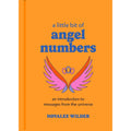 A Little Bit of Angel Numbers by Novalee Wilder: Hardcover