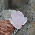 Rose Quartz Rose