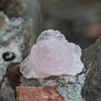 Rose Quartz Rose