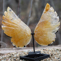 Citrine Angel Wings