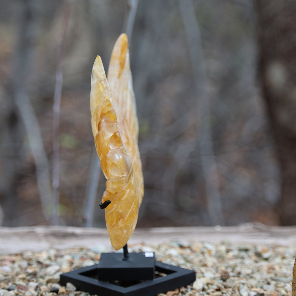 Citrine Angel Wings