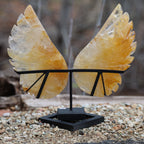 Citrine Angel Wings