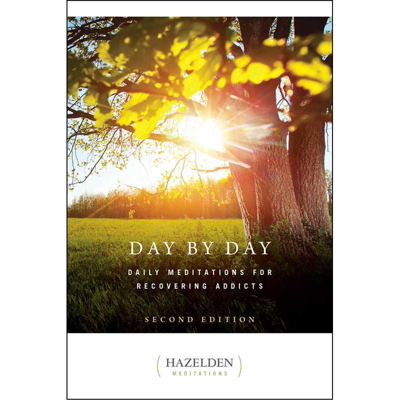 Day by Day by Anonymous: Paperback 400 pages / English