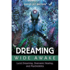 Dreaming Wide Awake by David Jay Brown: Paperback 416 pages / English