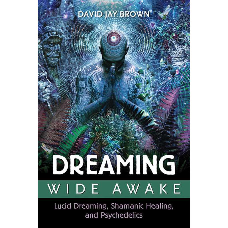 Dreaming Wide Awake by David Jay Brown: Paperback 416 pages / English