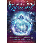 Ecstatic Soul Retrieval by Nicholas E. Brink: Paperback 208 pages / English