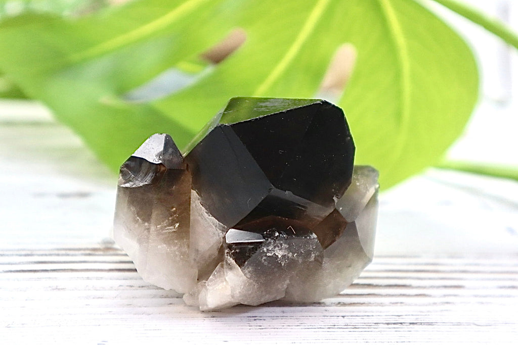 Smoky Quartz Cluster