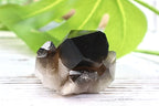 Smoky Quartz Cluster
