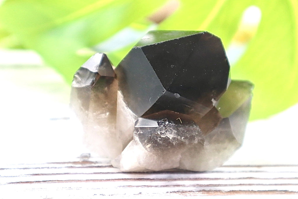 Smoky Quartz Cluster