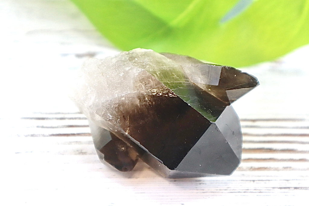 Smoky Quartz Cluster