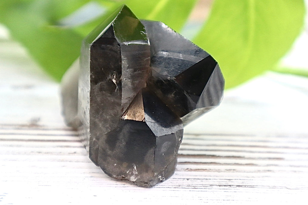 Smoky Quartz Cluster