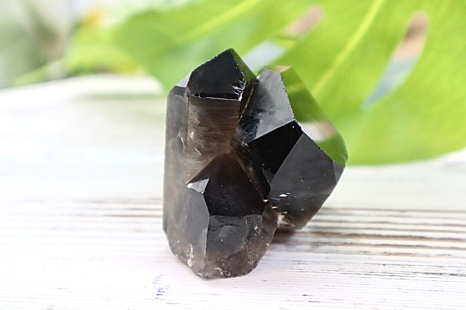 Smoky Quartz Cluster