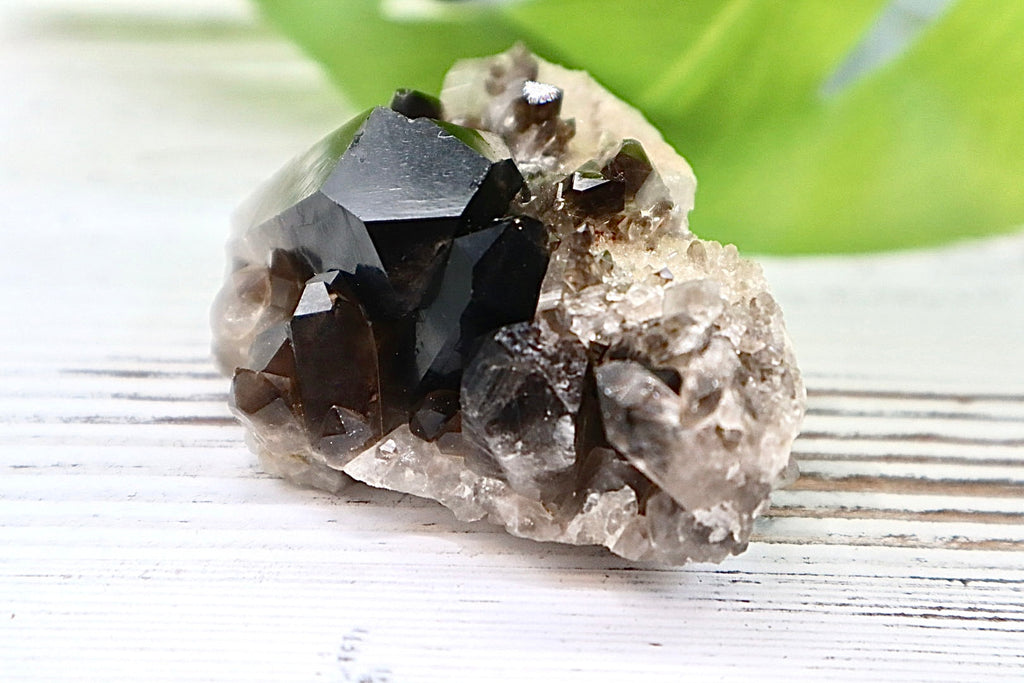 Smoky Quartz Cluster