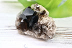 Smoky Quartz Cluster