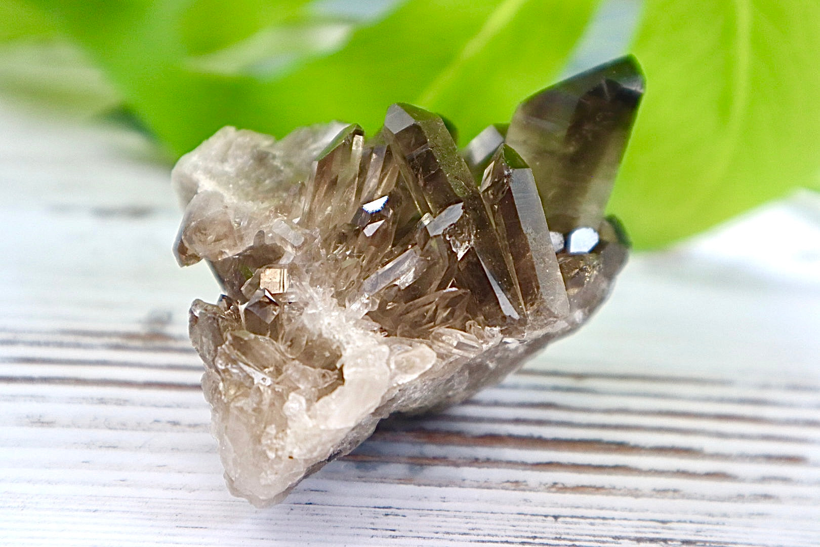 Smoky Quartz Cluster