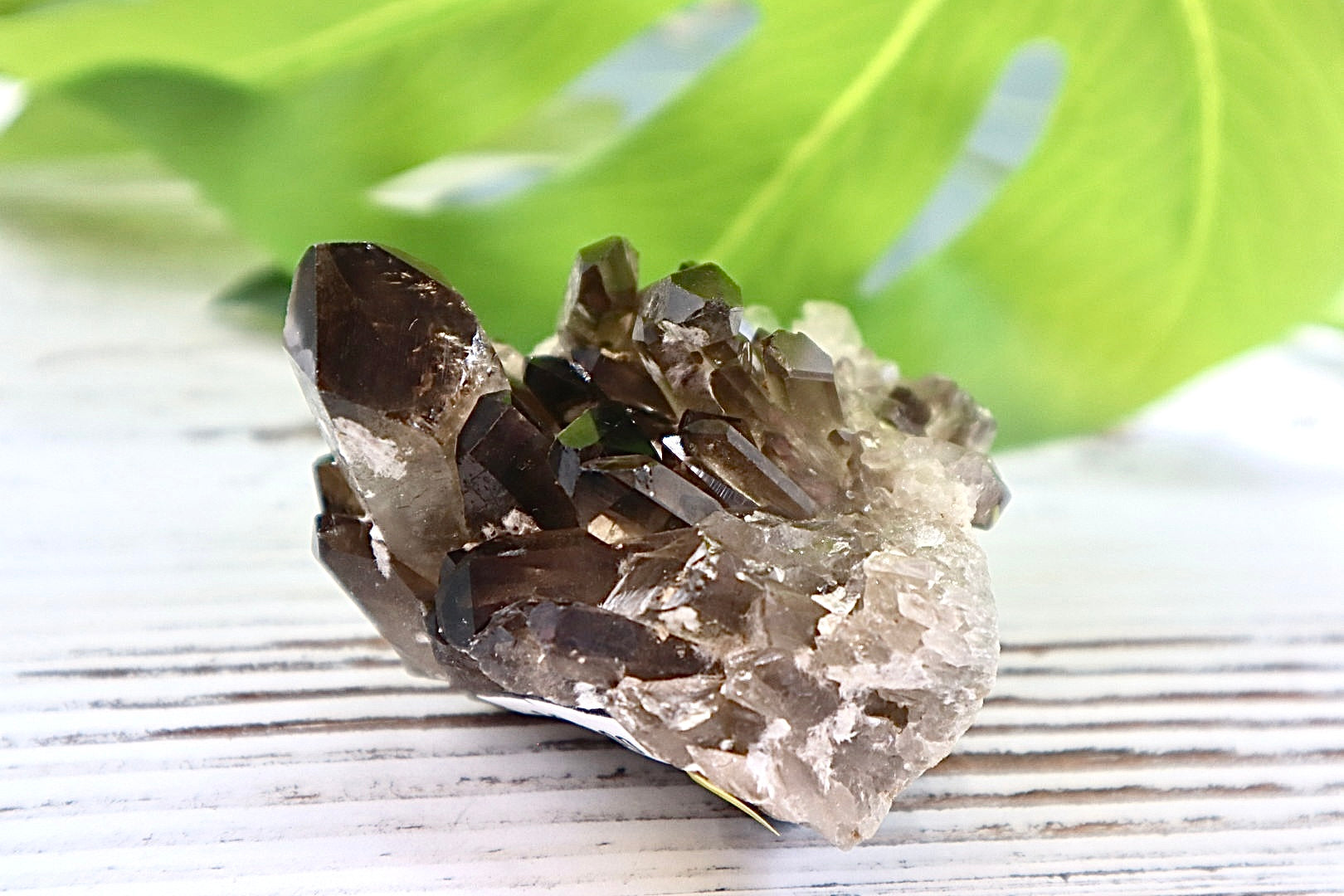 Smoky Quartz Cluster