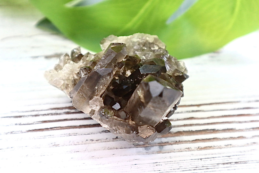 Smoky Quartz Cluster