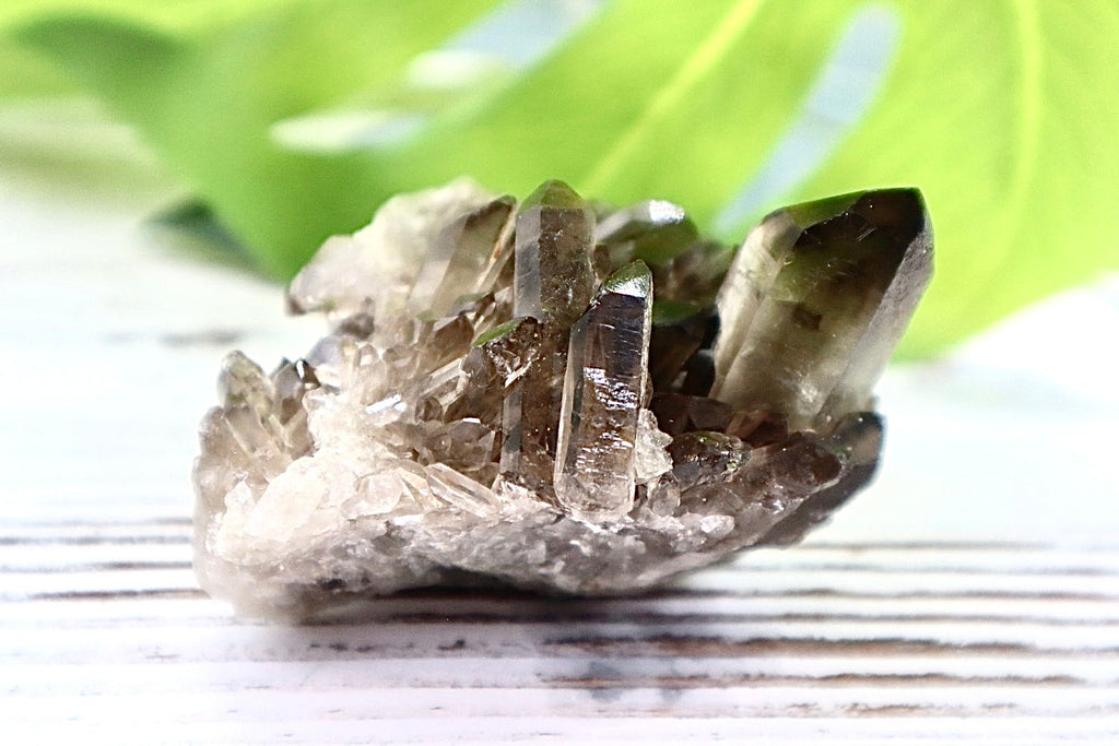 Smoky Quartz Cluster